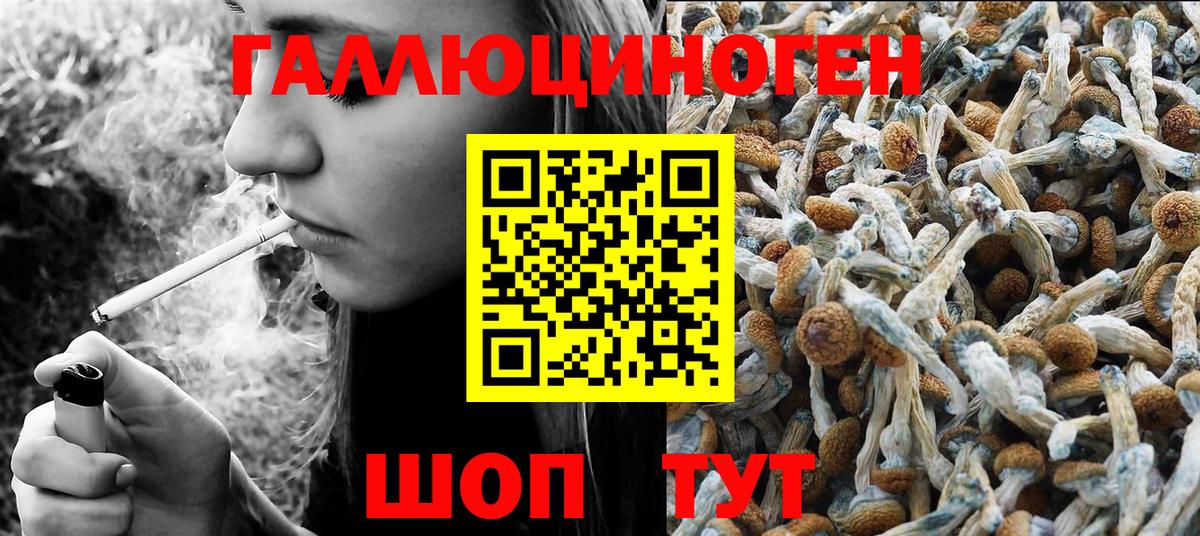 Галлюциногенные грибы Psilocybine cubensis  Галлюциногенные грибы Cubensis  Тольятти  Вход с VPN 