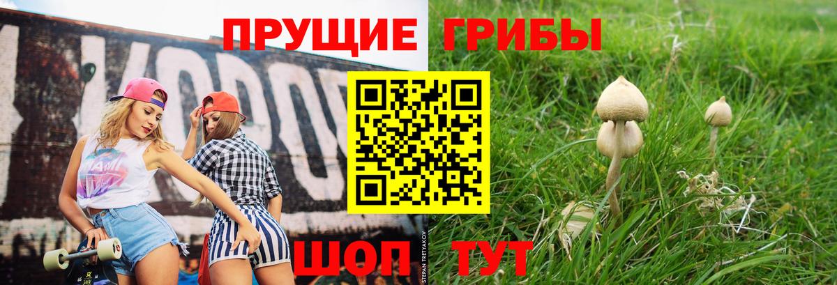 Псилоцибиновые грибы мицелий Тольятти